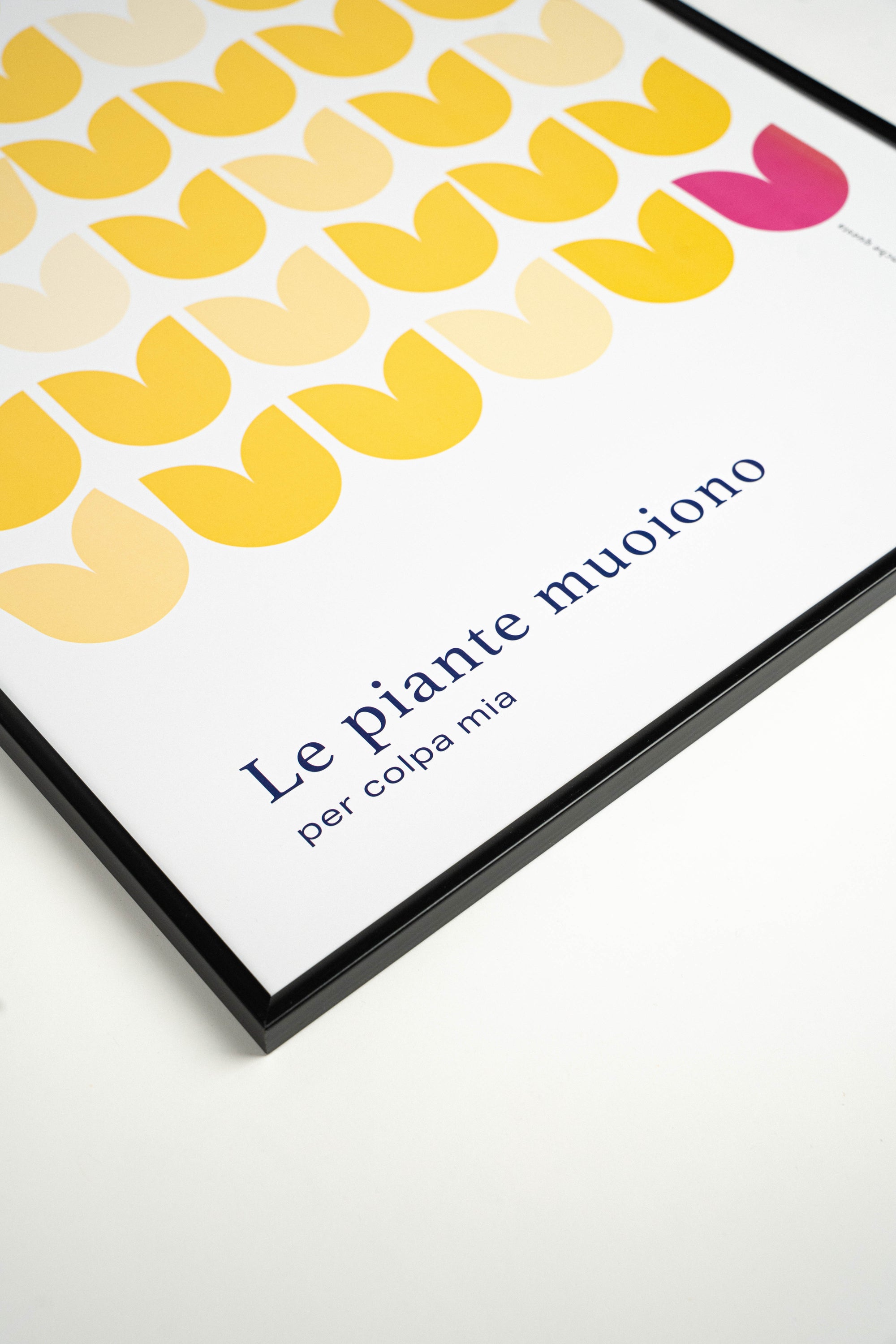 Le piante muoiono per colpa mia