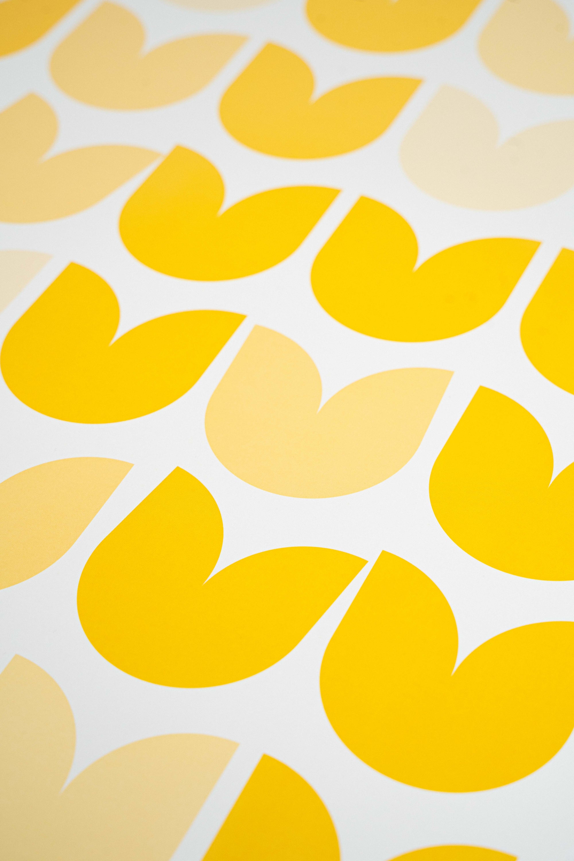 Le piante muoiono per colpa mia