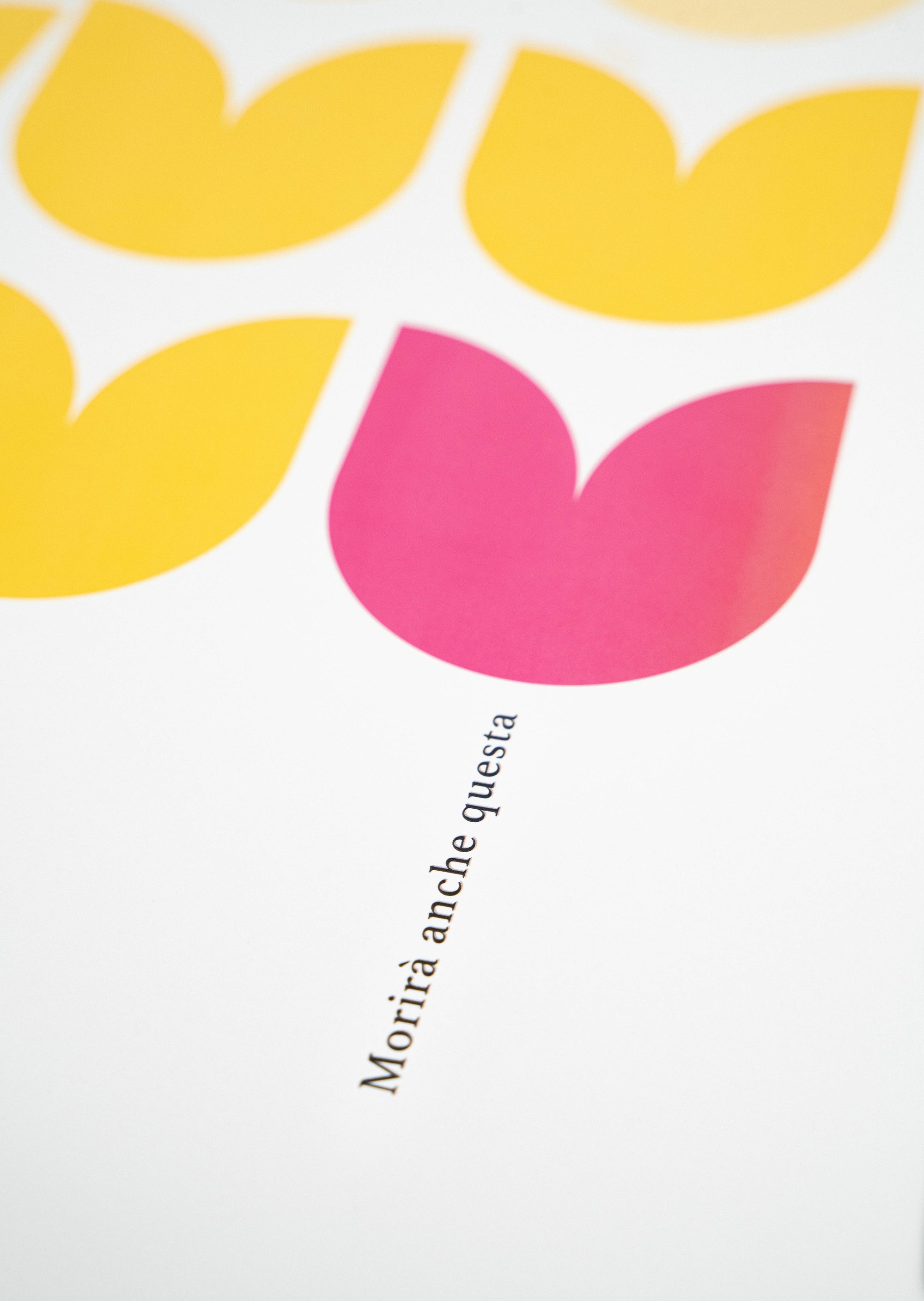 Le piante muoiono per colpa mia