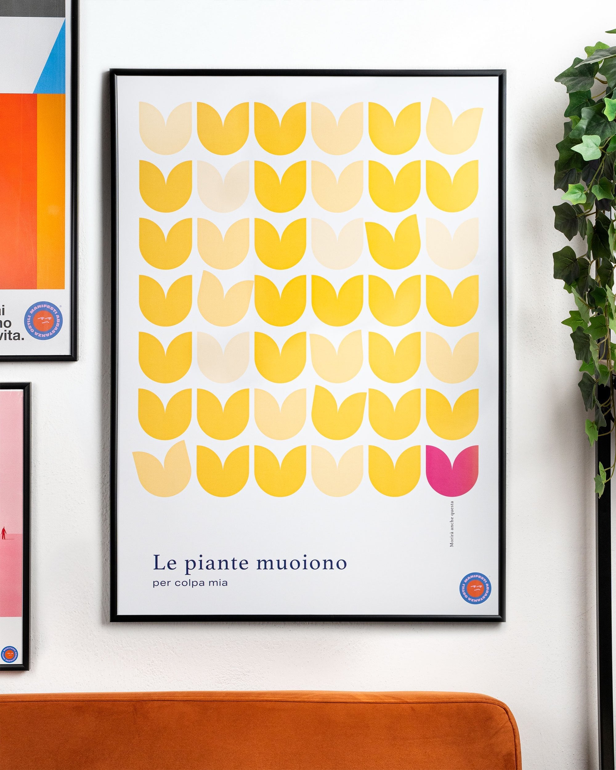 Le piante muoiono per colpa mia