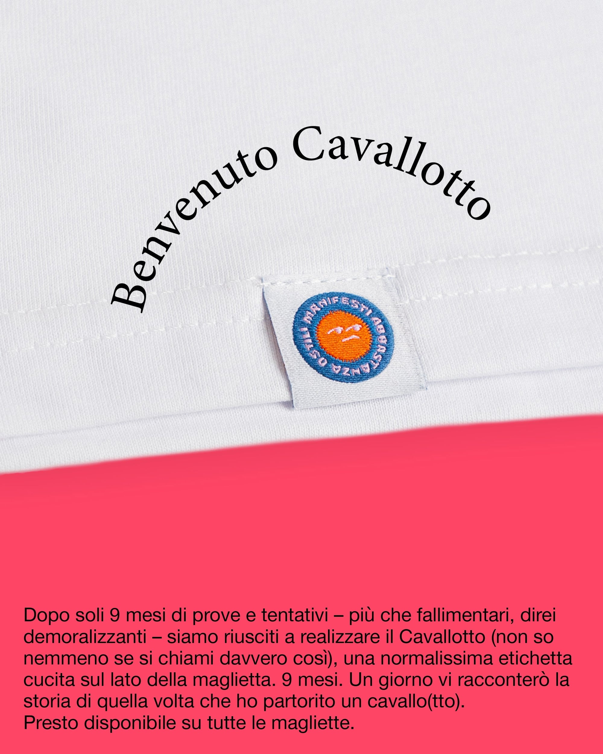 Maglietta - La regola del giorno dopo