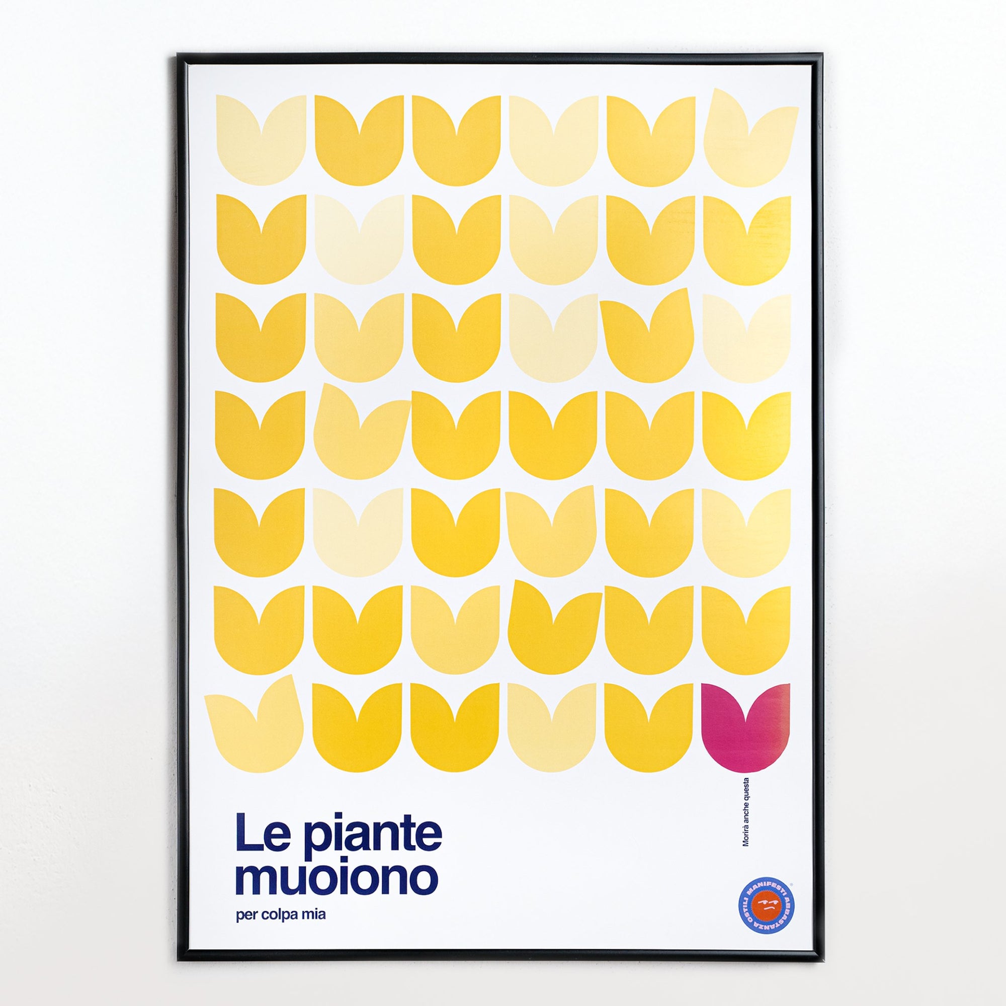 Le piante muoiono per colpa mia