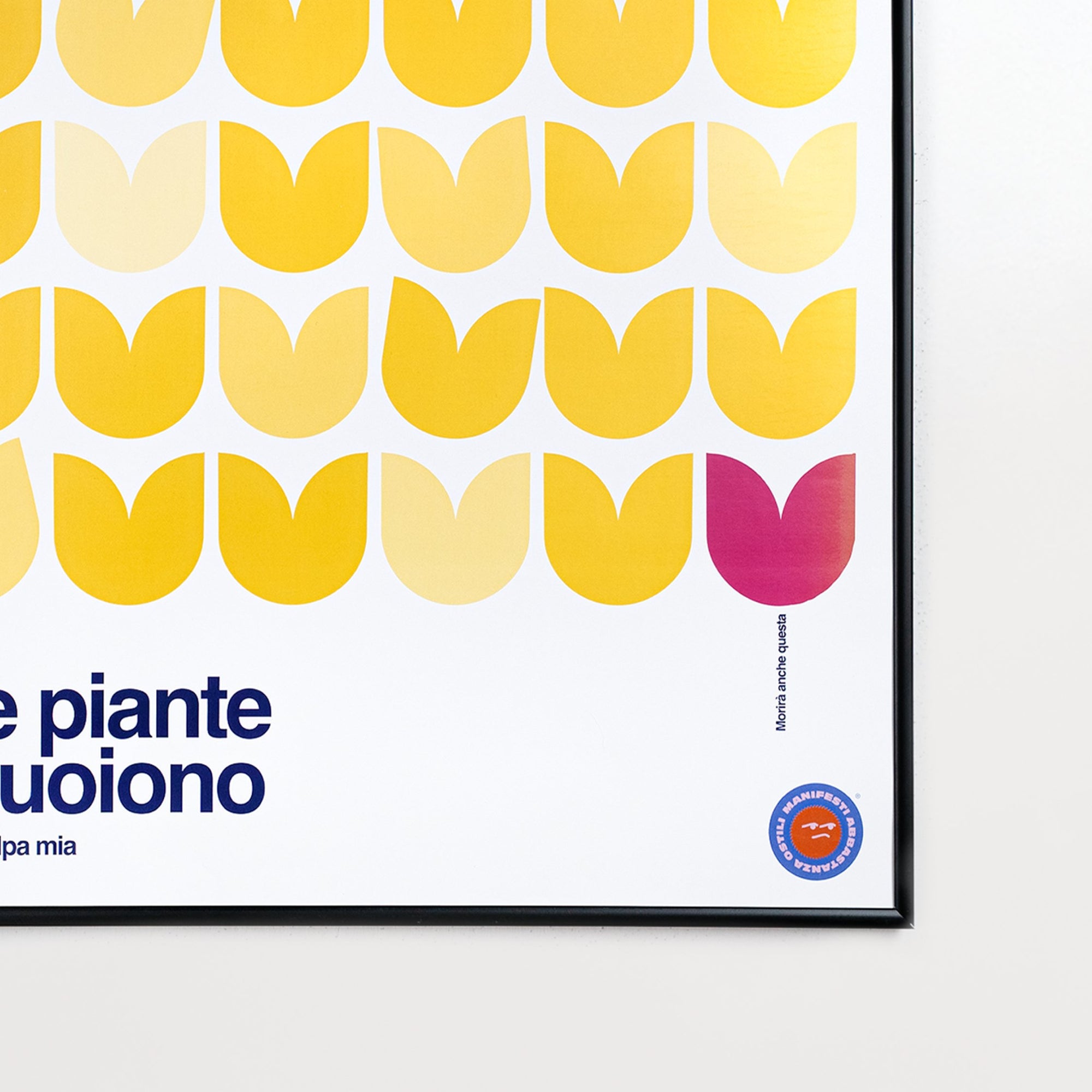 Le piante muoiono per colpa mia