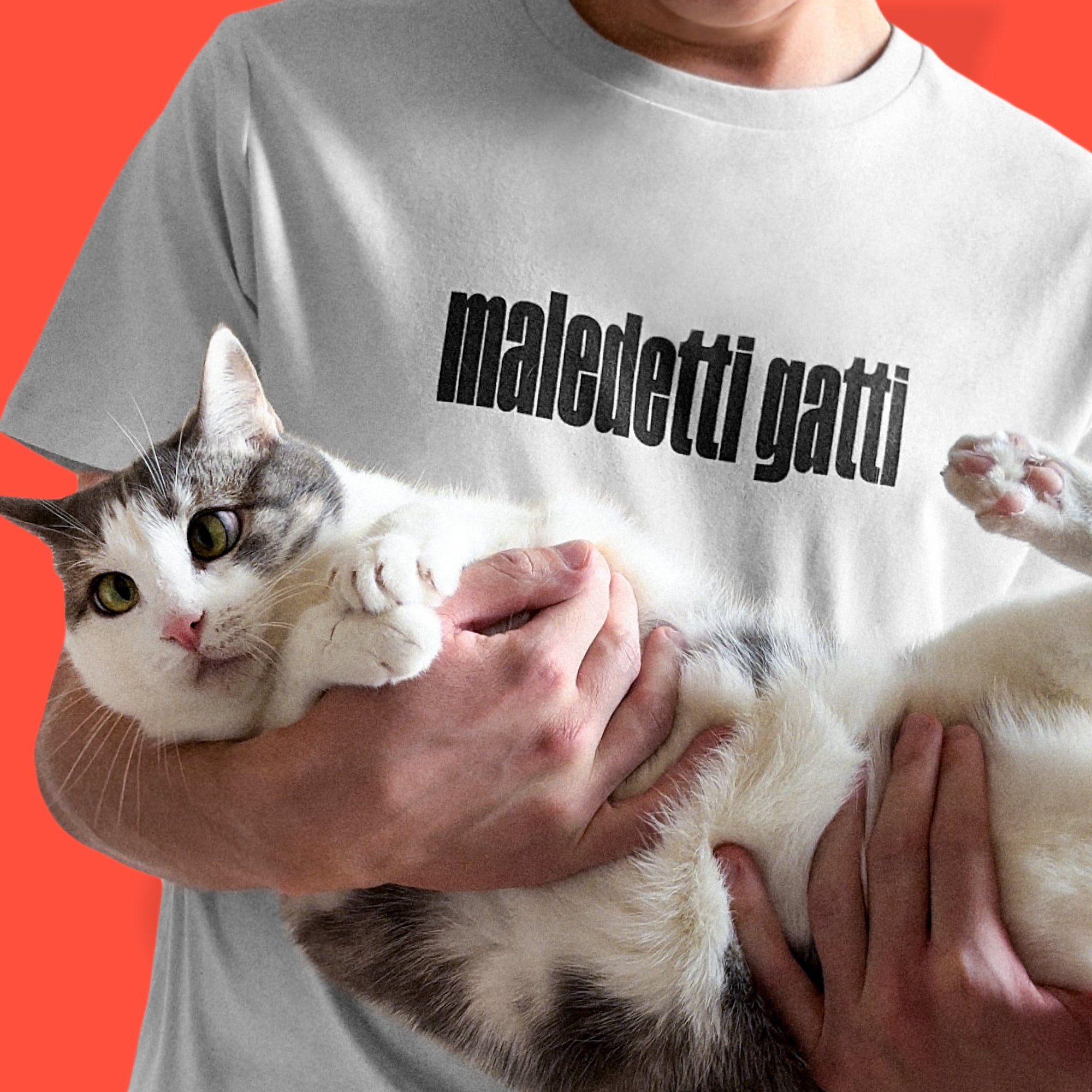 Maglietta - Maledetti Gatti
