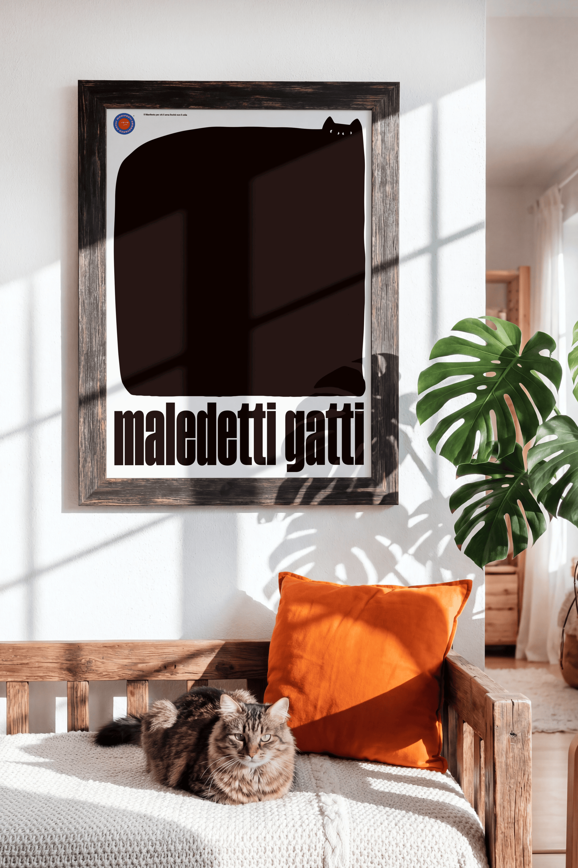 Maledetti gatti