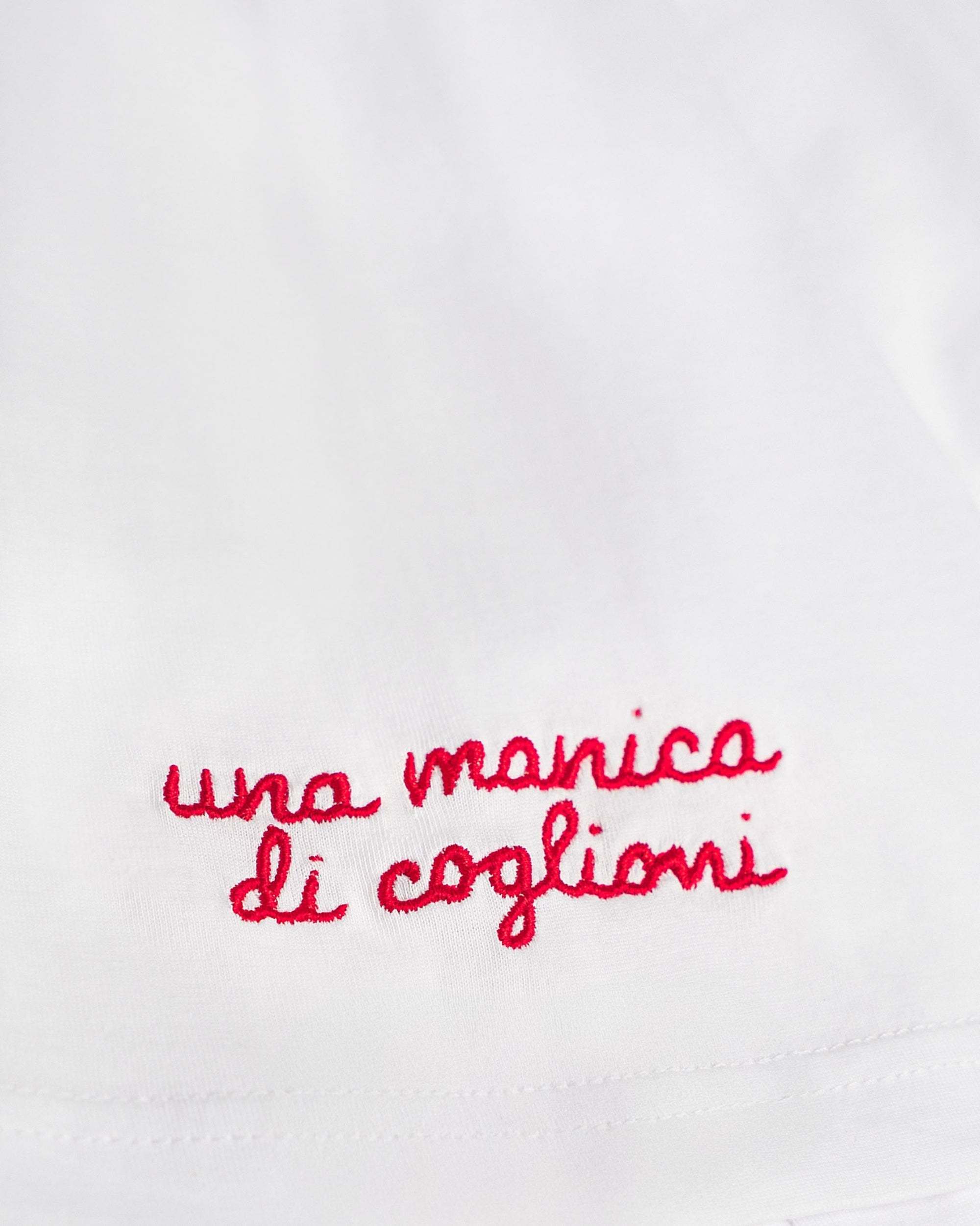 Maglietta - Una manica di coglioni