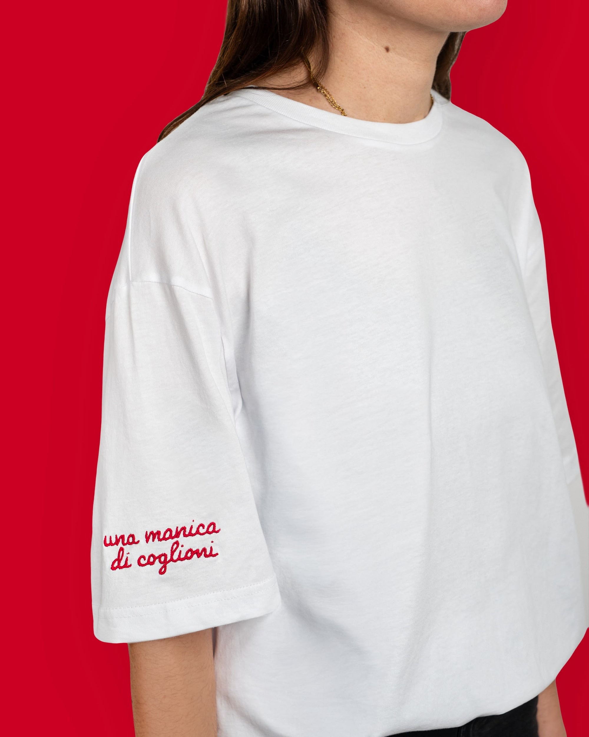Maglietta - Una manica di coglioni