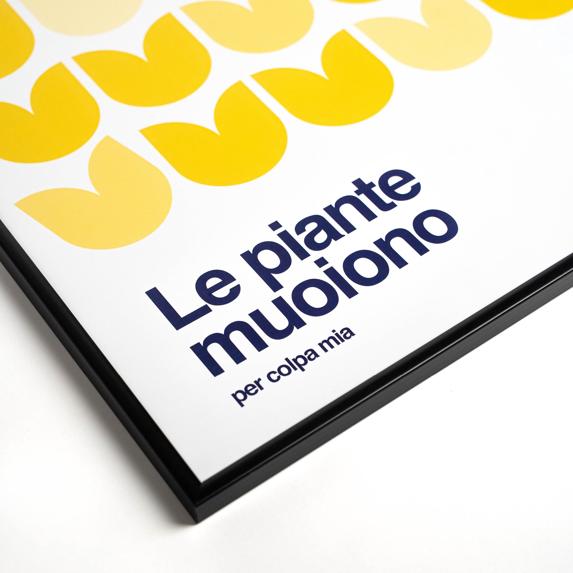 Le piante muoiono per colpa mia