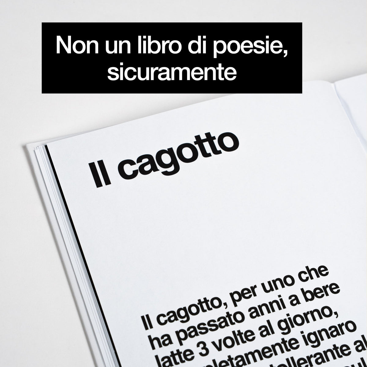 Libro Fastidi