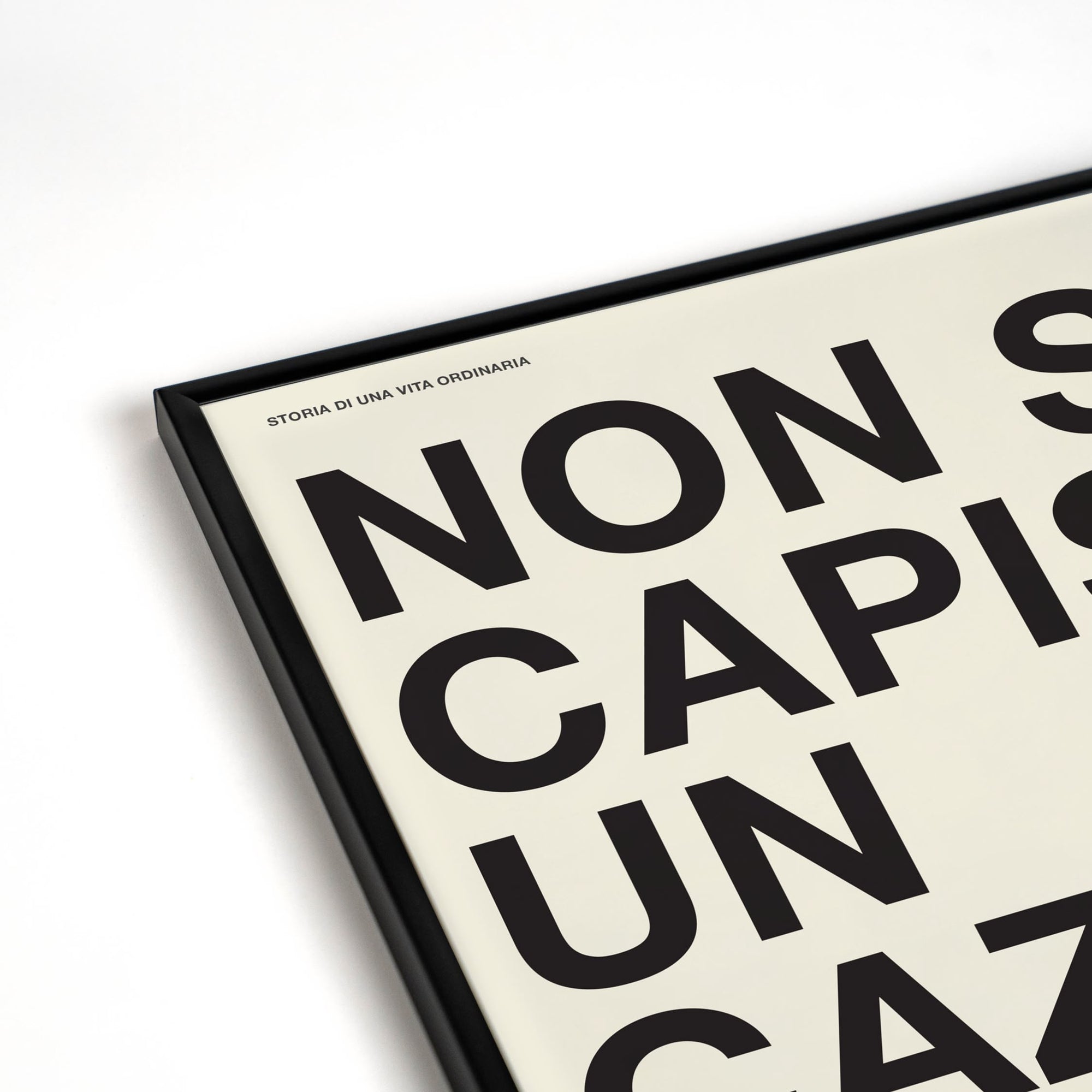 Non si capisce un cazzo - VITA ORDINARIA