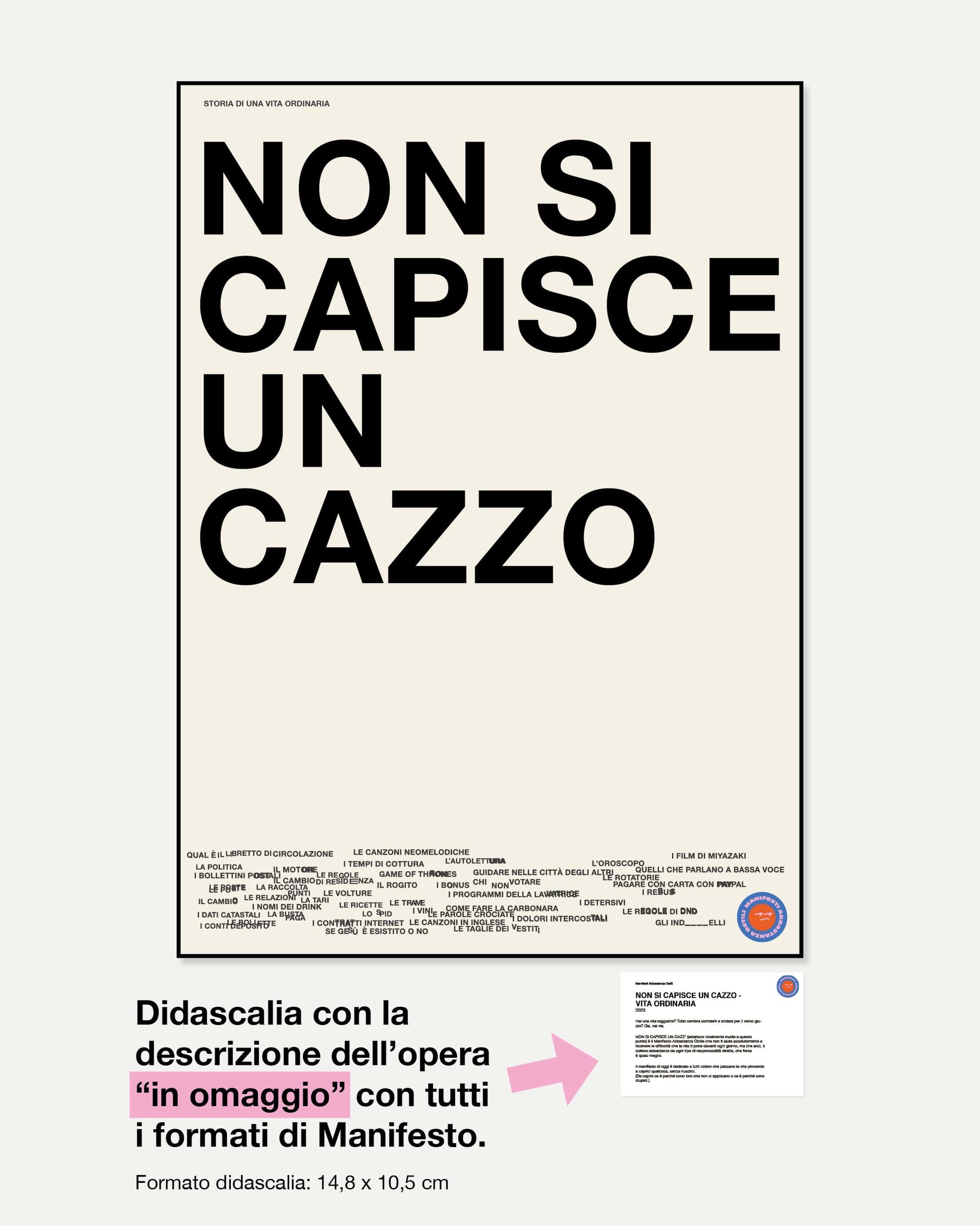 Non si capisce un cazzo - VITA ORDINARIA